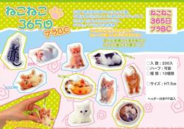 ねこねこ365日プラBC(ハーフ可)
